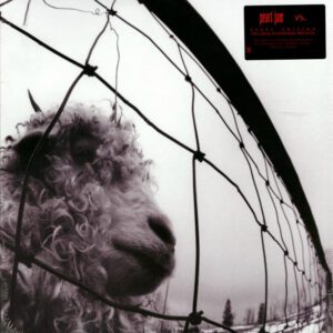 Pearl Jam – Vs. LP NM Pre-owned